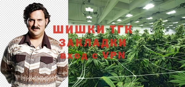 дурь Алексин