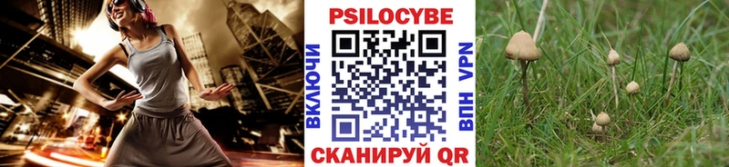 хочу наркоту  Полысаево  Псилоцибиновые грибы Magic Shrooms 
